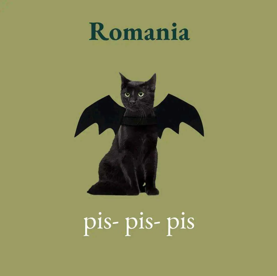 1658994287104.webp