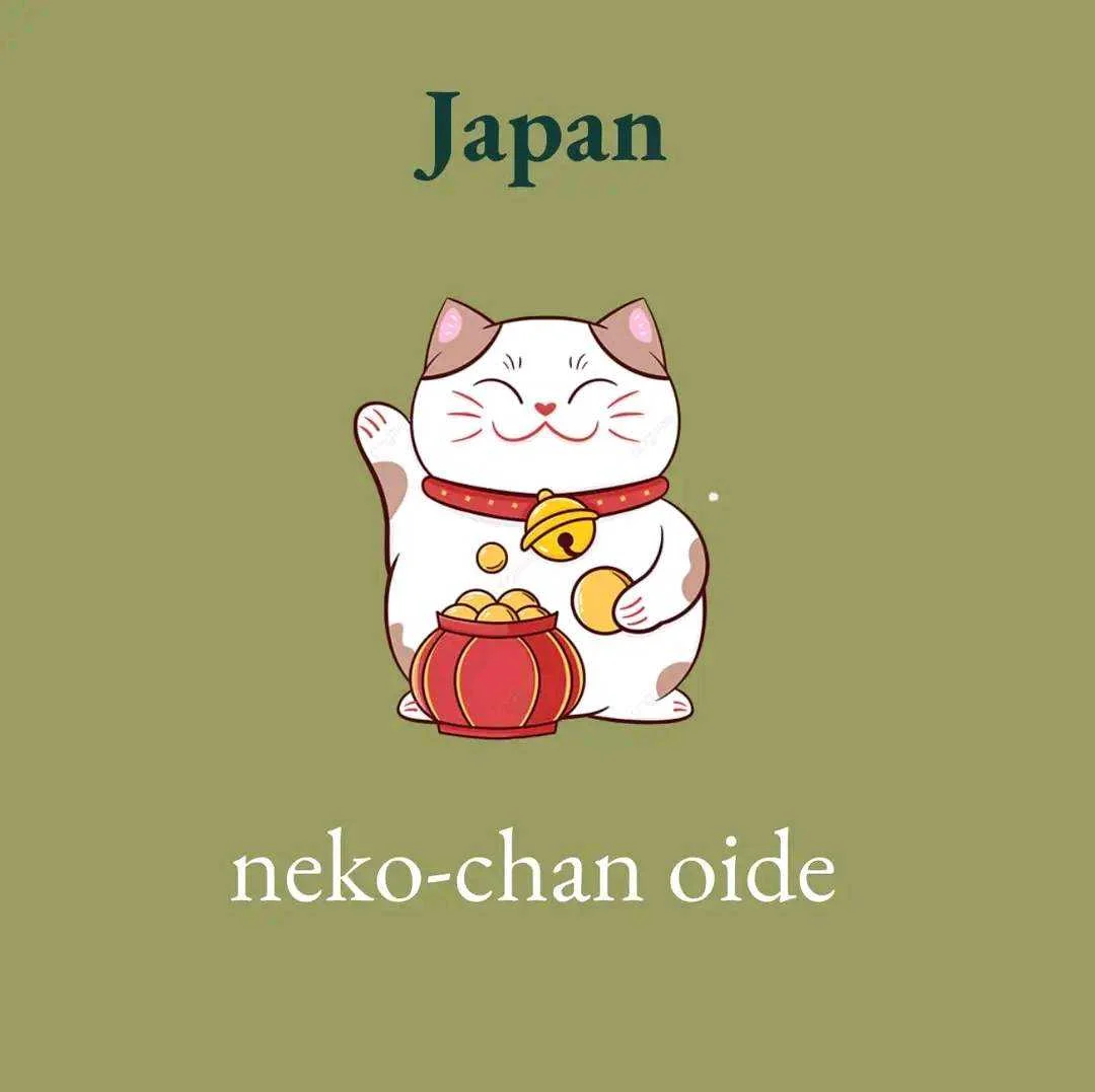 1658994282210.webp