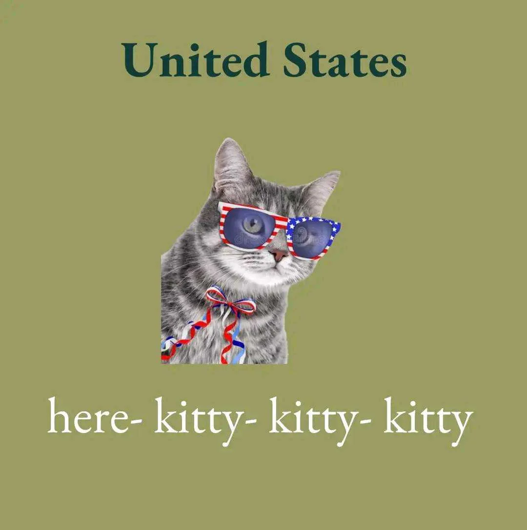 1658994279708.webp