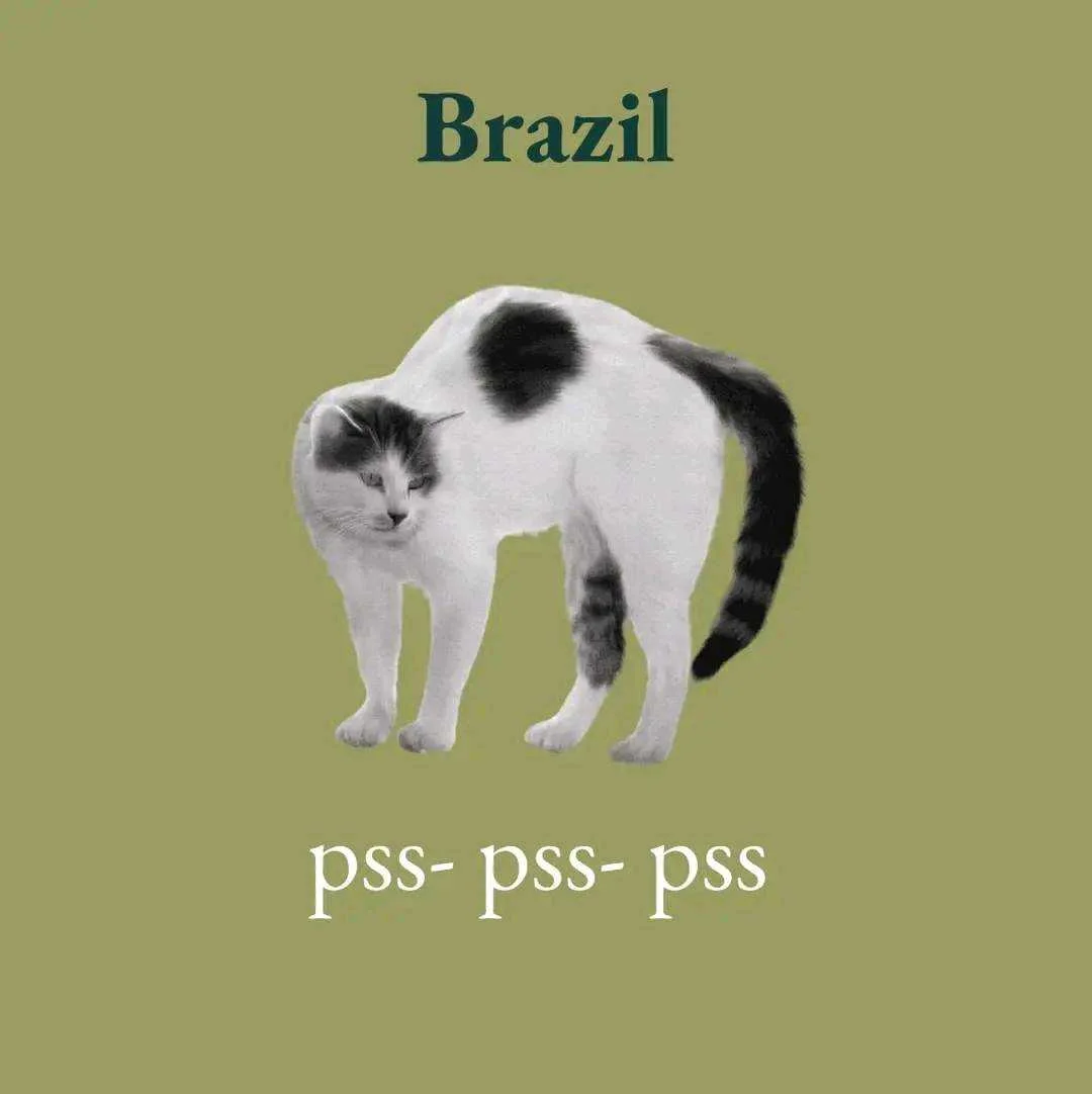 1658994277510.webp