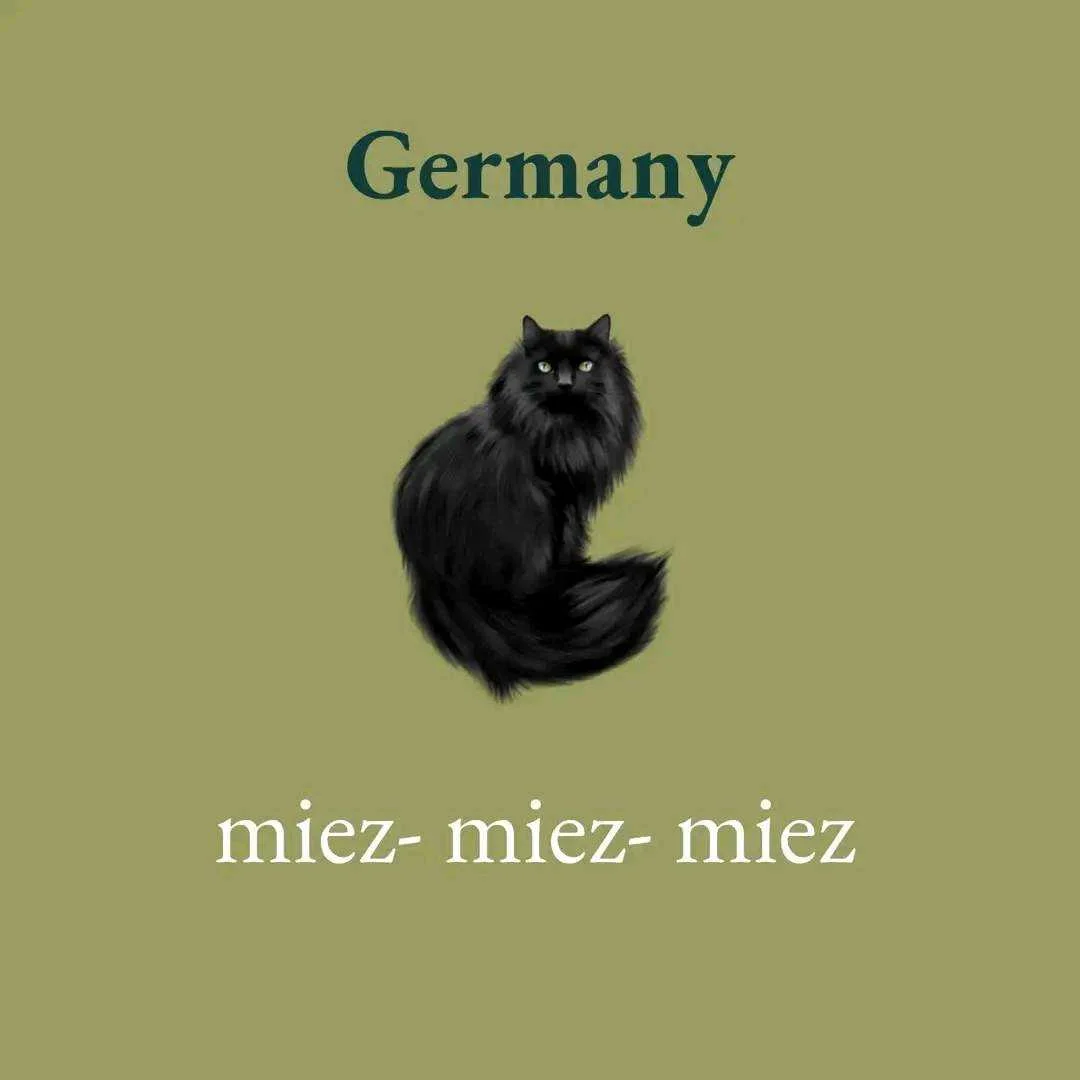 1658994274242.webp