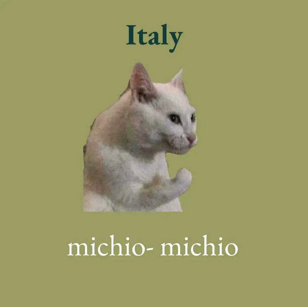 1658994271855.webp