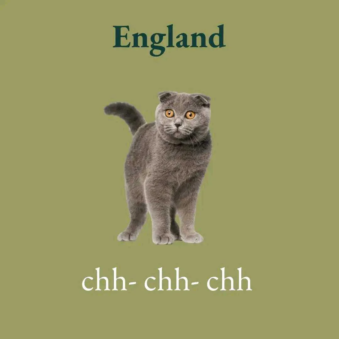 1658994269415.webp
