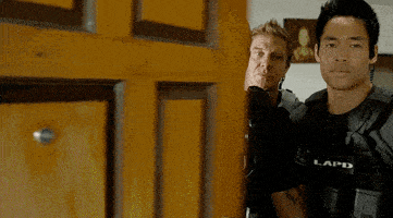 200.gif