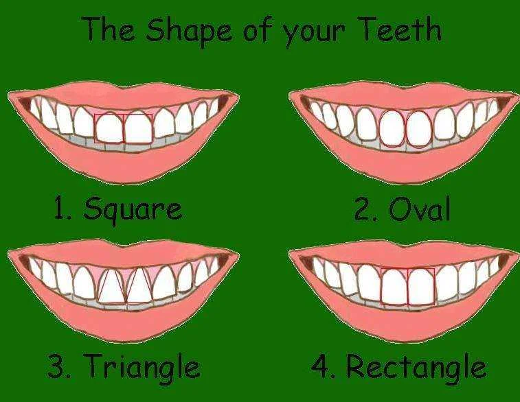 teeth.webp