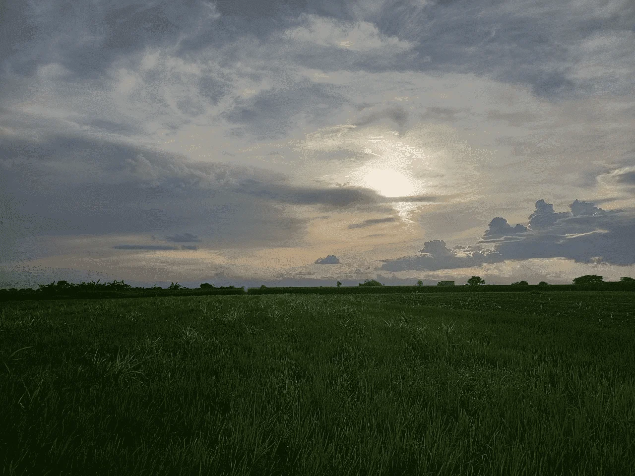 1659318218063.webp