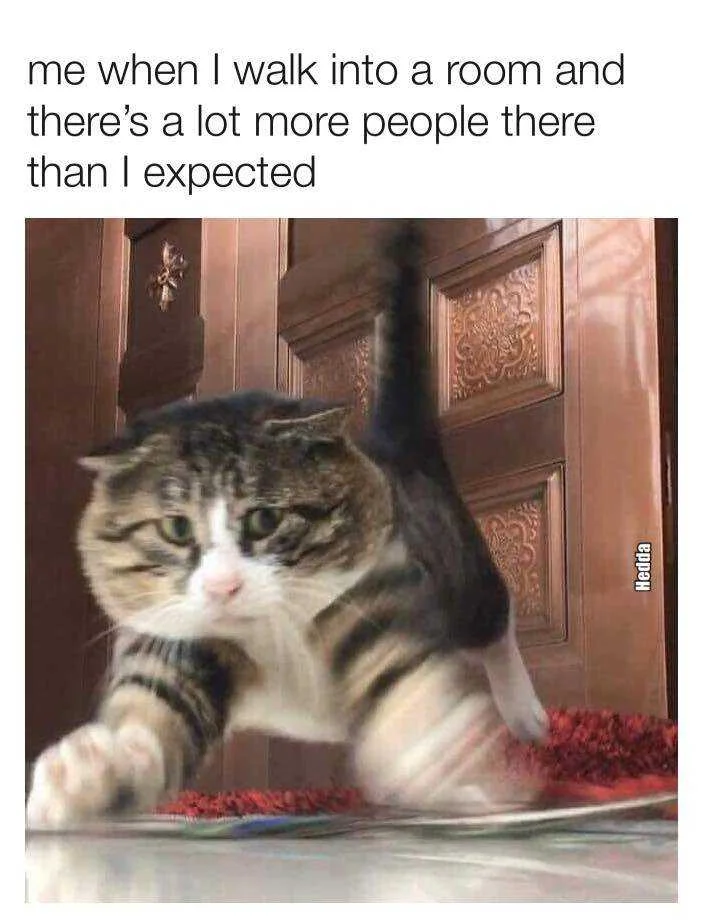 introvert.webp