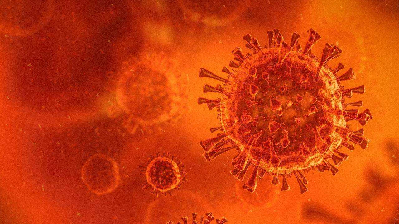 LANGYA VIRUS coming up
