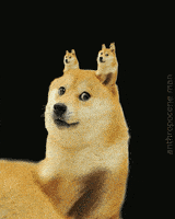 200.gif