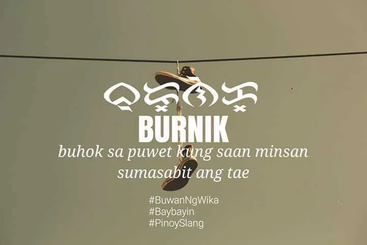 burnik.webp