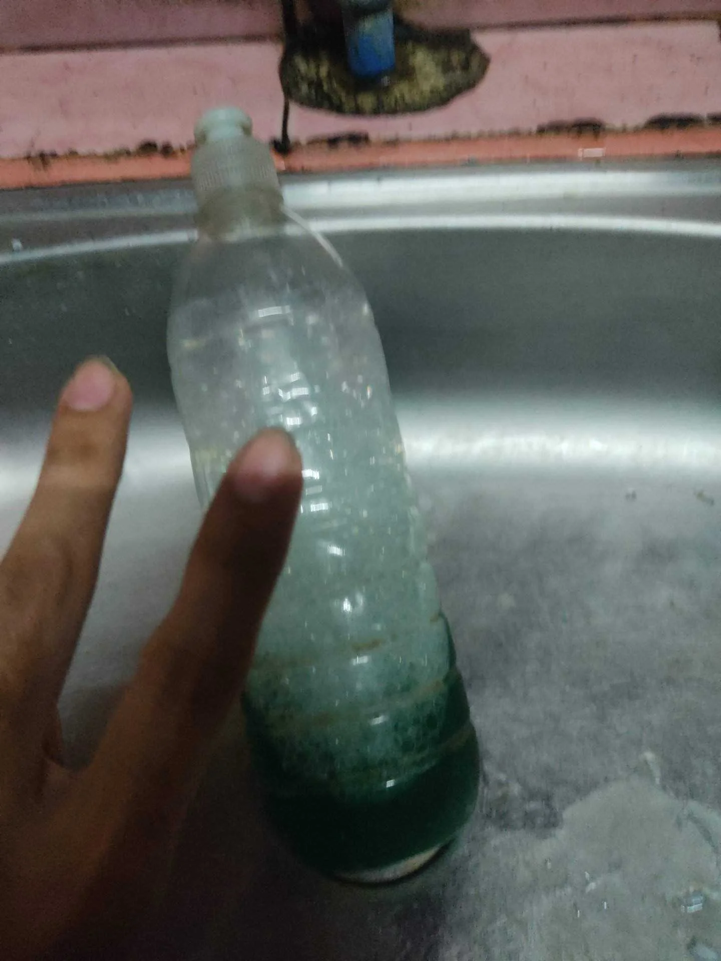 IMG_20220812_184403.webp