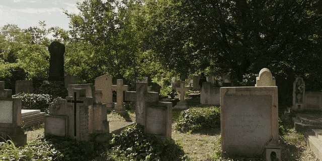 1660711366609.webp