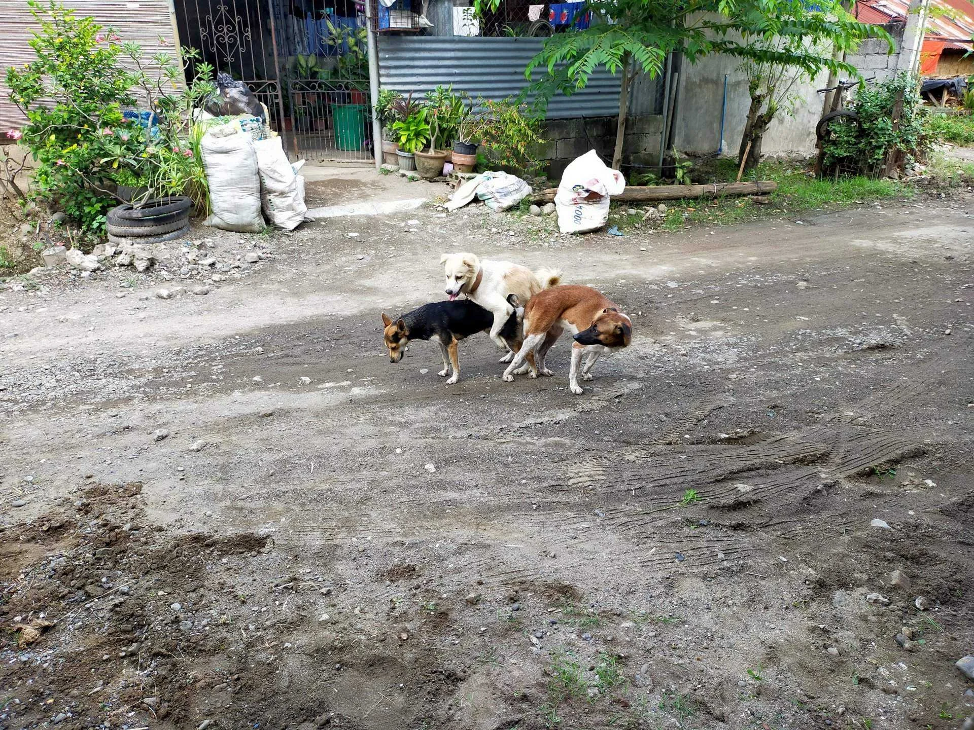 IMG20220817144052.webp