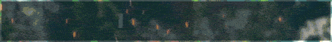 350kb.gif