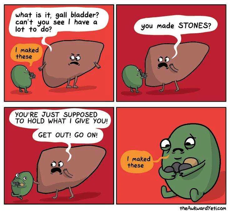 42a5c67ed1dd5e01d560048b5b146acc--gall-stones-kidney-stones.webp