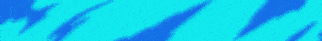 standard.gif