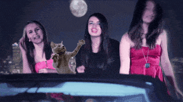 200.gif