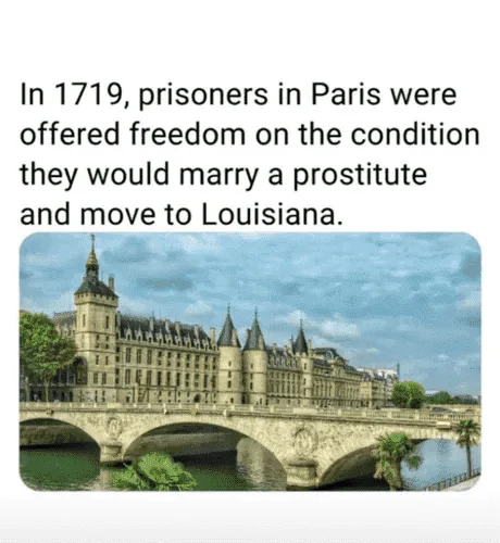 1661861170424.webp