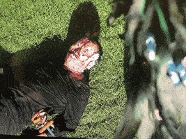 200.gif