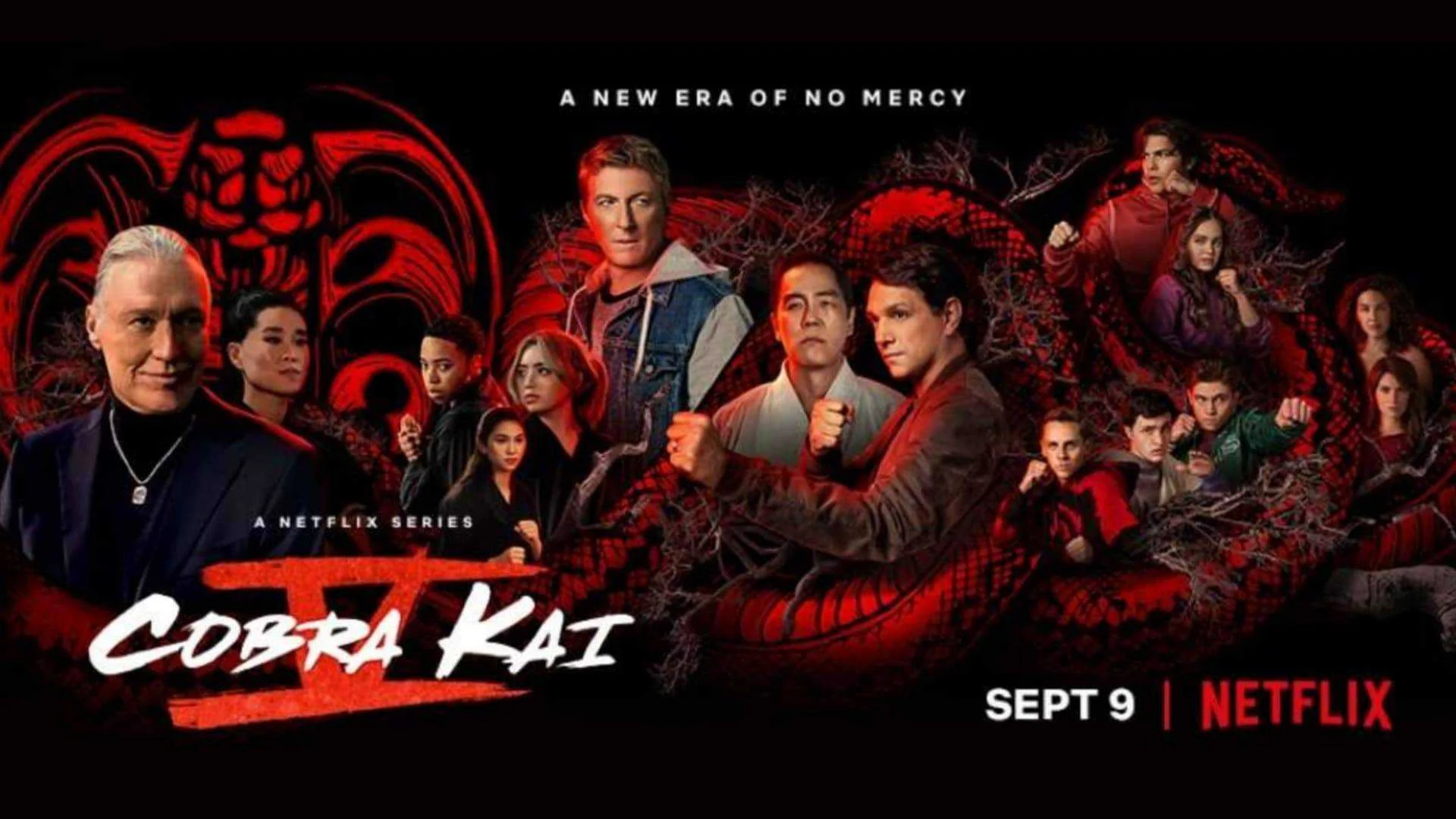 Cobra Kai Season 5 1080p WEBRip x265 RARBG