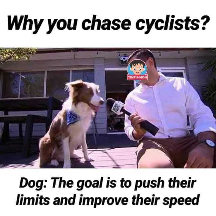 296910622_125258183552385_95820481507561396_n.jpg