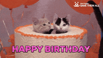 200.gif