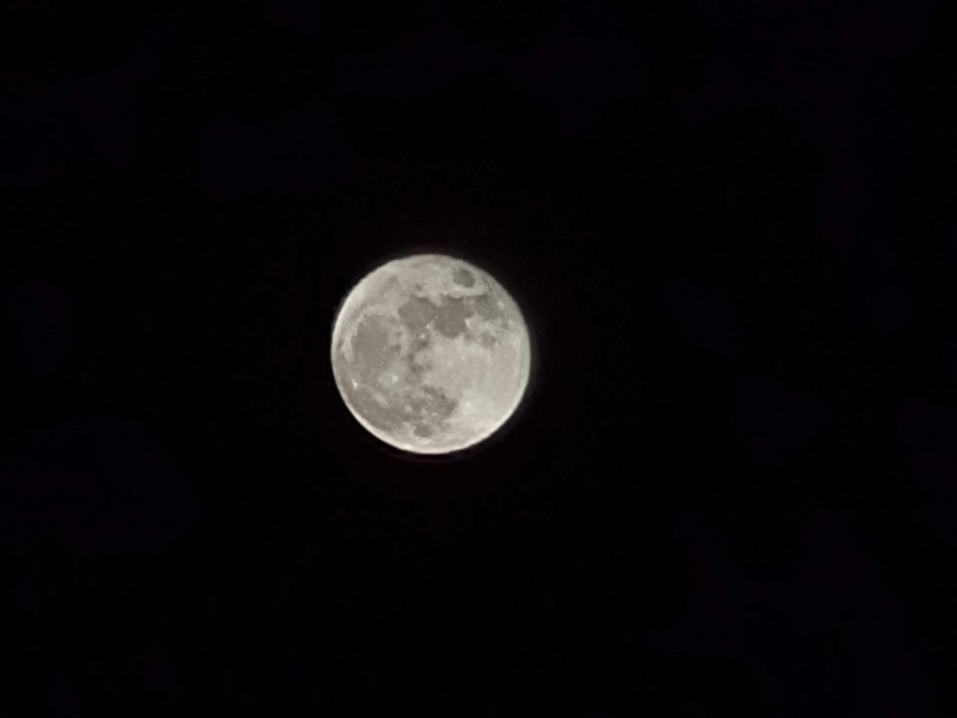 20220911_212436.webp