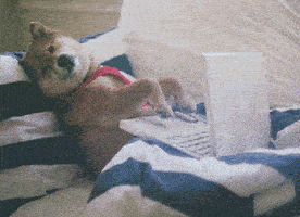 200.gif