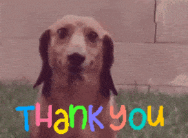 200.gif