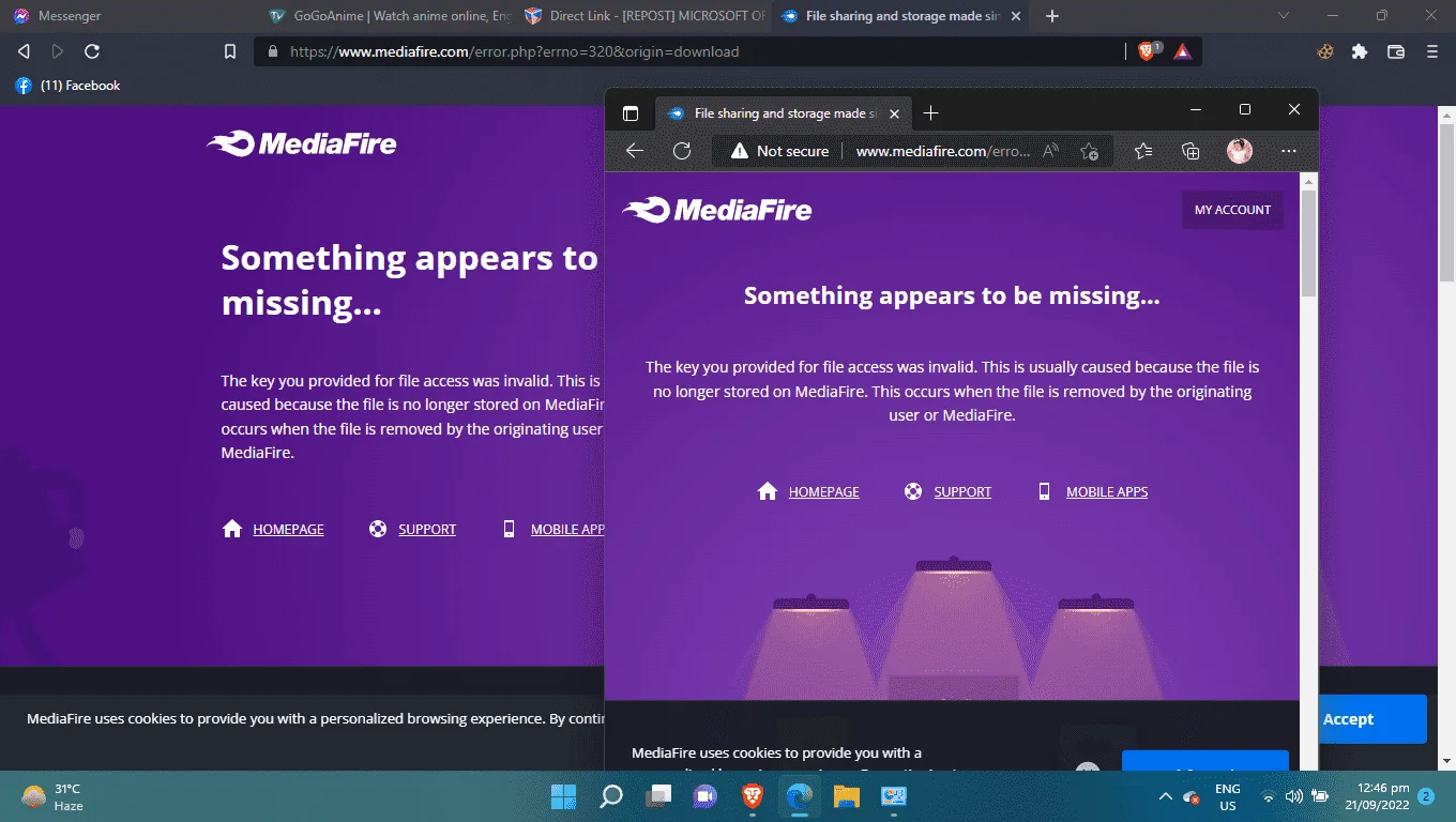 1663735590208.webp