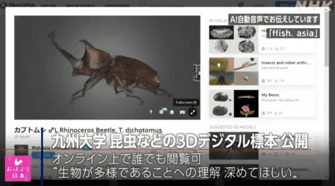 3D Specimens of insects and fish, available now in the internet.