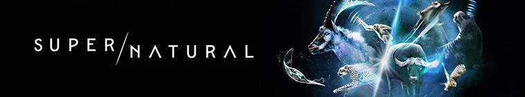 Super/Natural (2022-) [COMPLETE S01] 720p DSNP WEB-DL DDP5.1 H264 [Disney+]