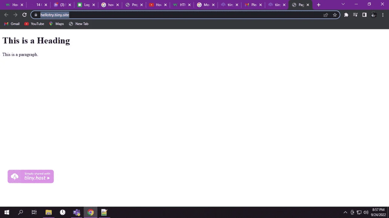 1664034388506.webp