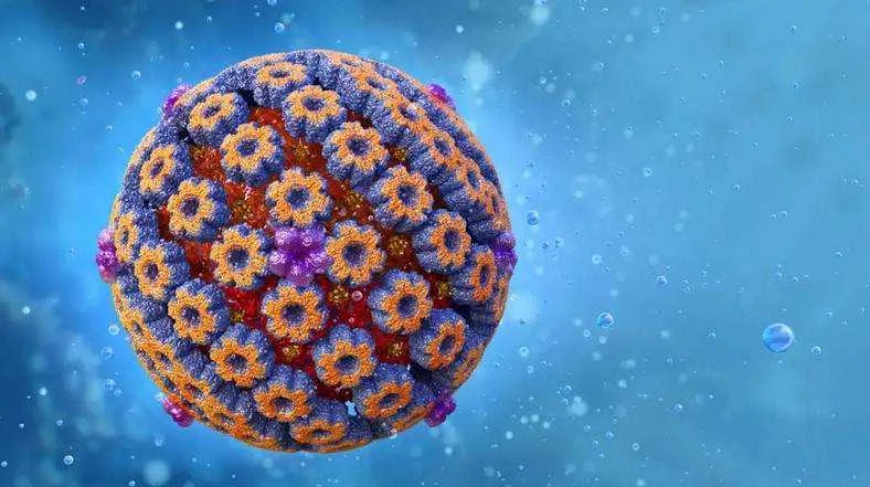 A Cancer-Fighting Version of Herpes Shows Promise in Early Human Trial