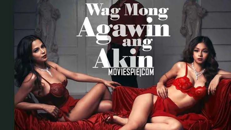 Wag Mong Agawin Ang Akin (2022) Episode 1 to 8 Finale