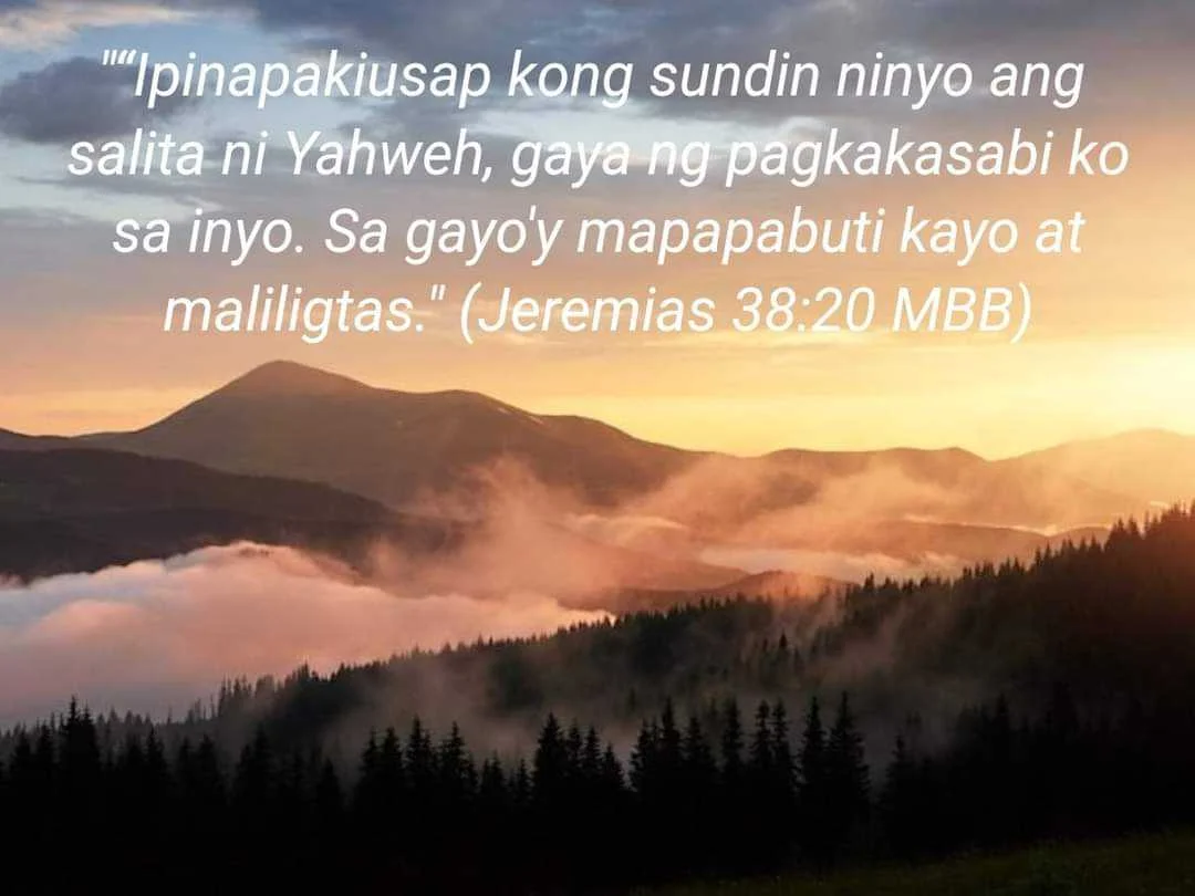 FB_IMG_1664711872038.webp