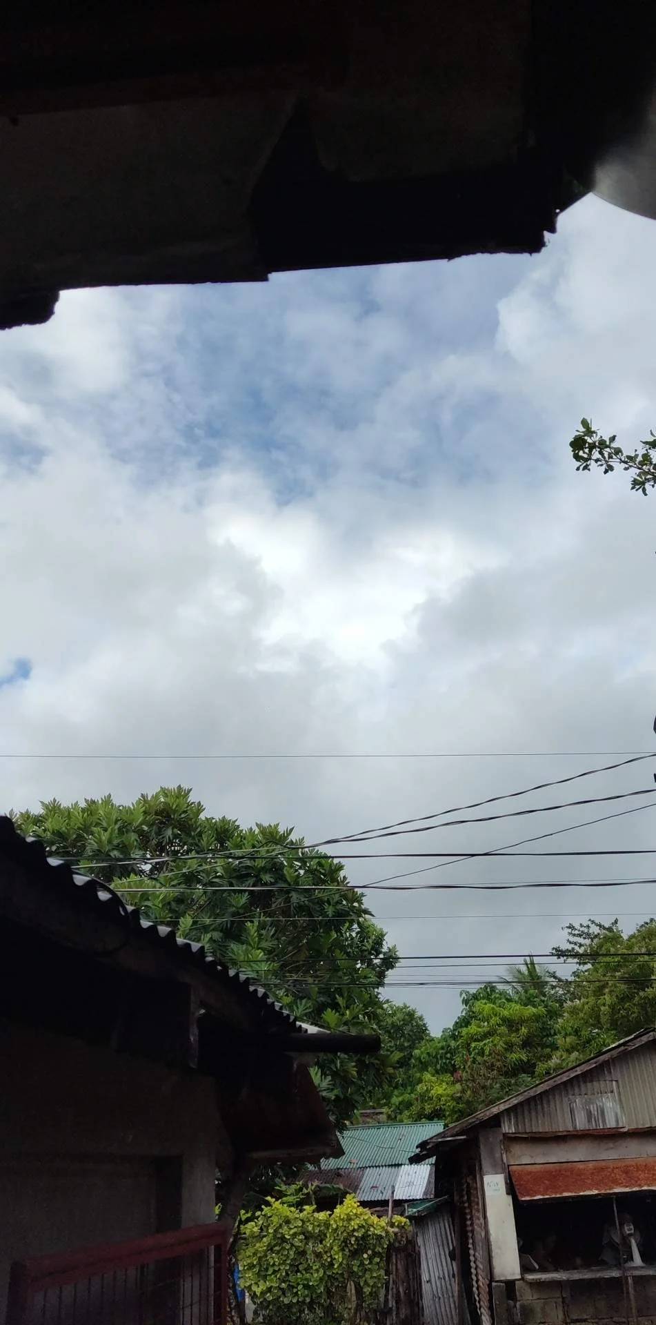 42b0f7e0-fcd4-4bc5-8ce5-67c4bcc0564cphoto.webp