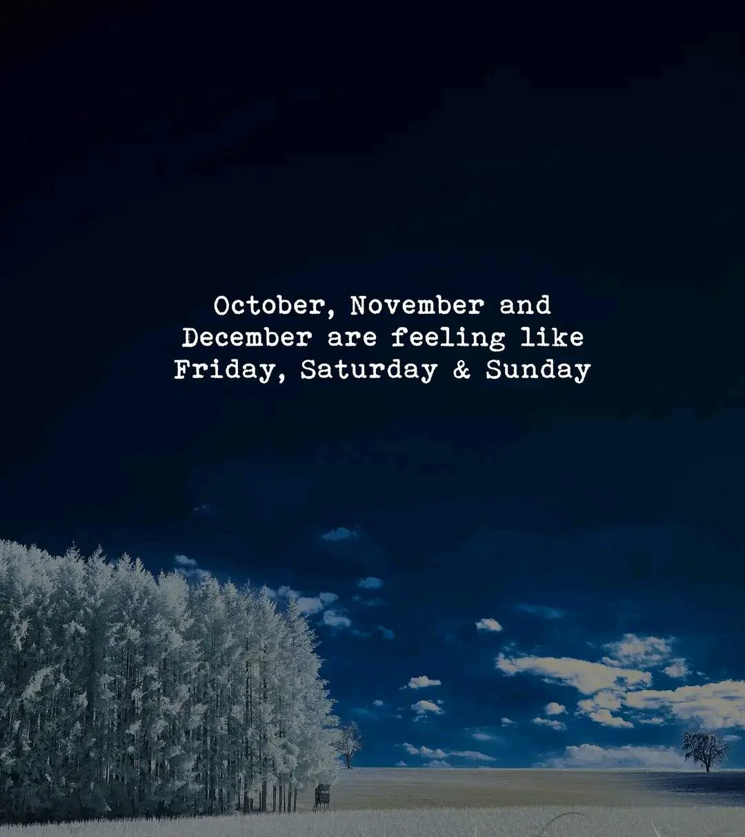1665410160493.webp