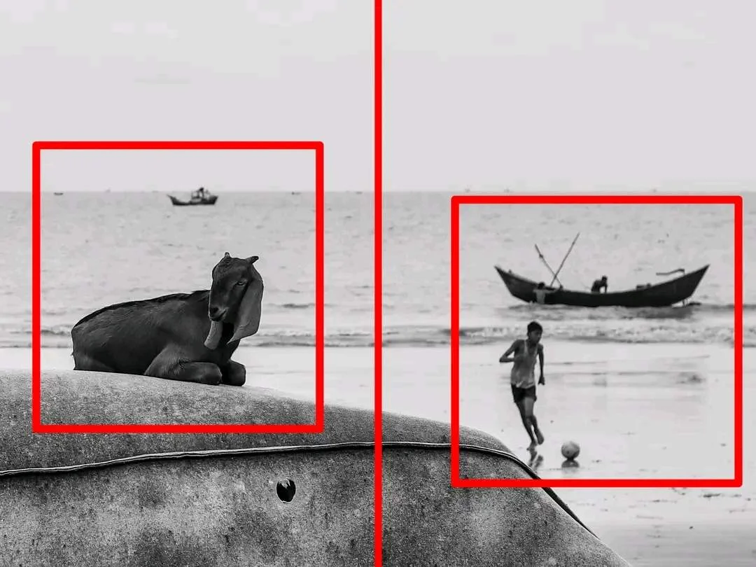 1665561809810.jpg