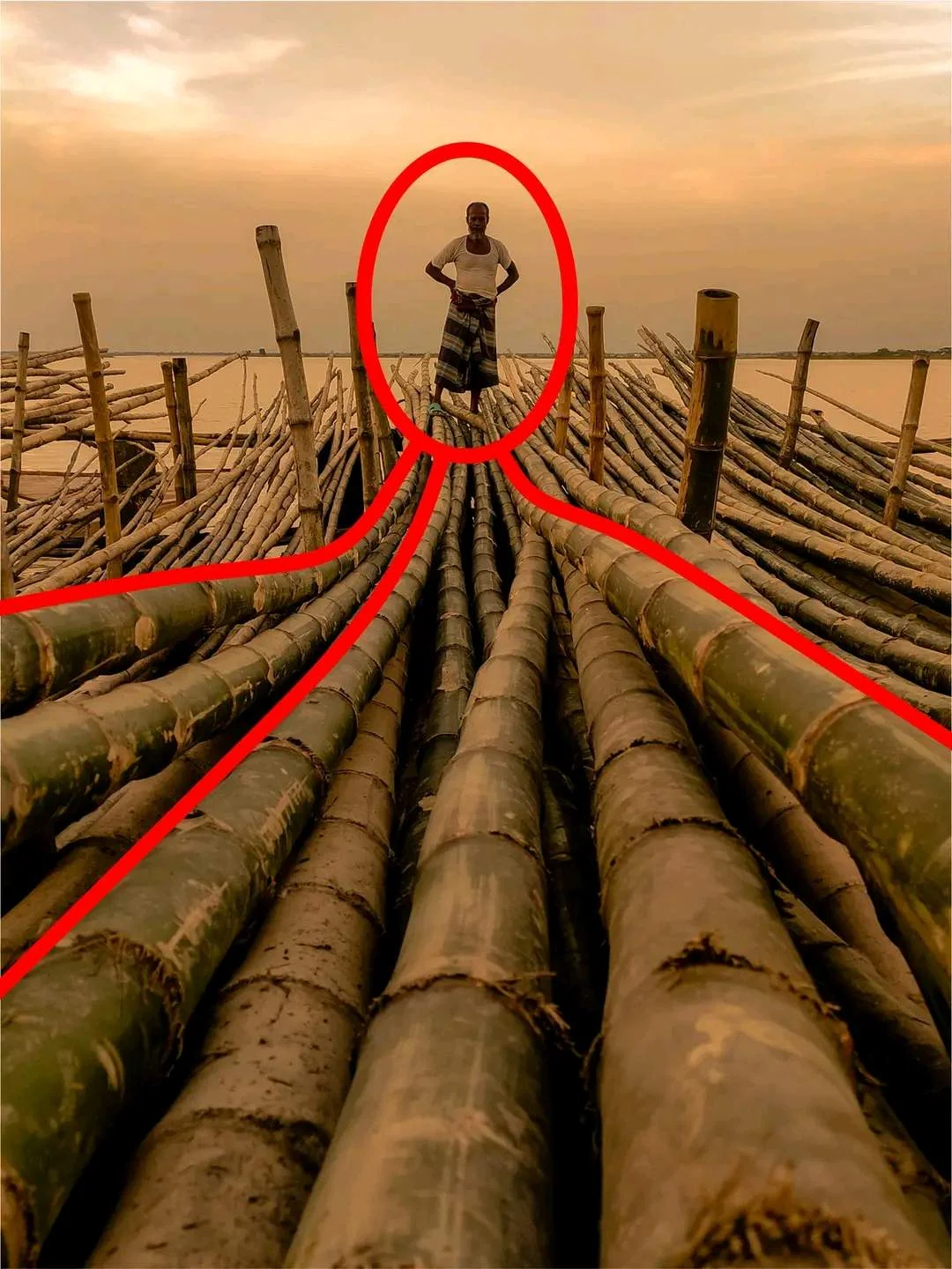 1665561830886.jpg