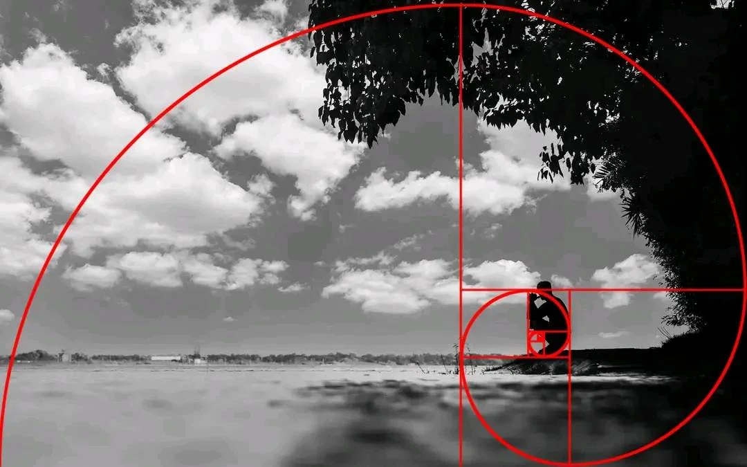 1665561816252.jpg