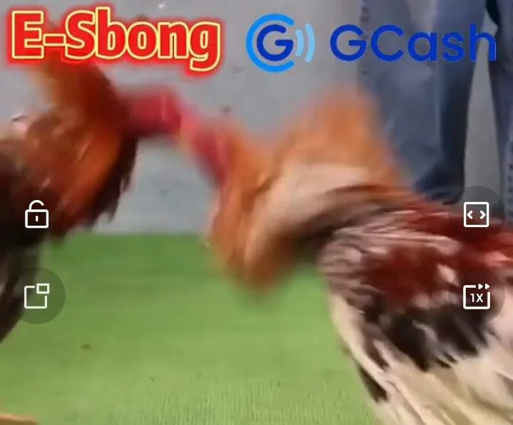 Screenshot_20221015-205101.webp