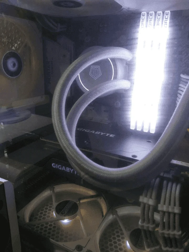 1665893556732.webp
