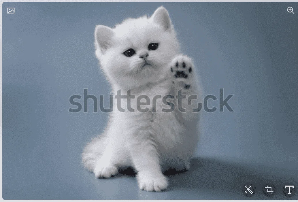 1665903872018.webp