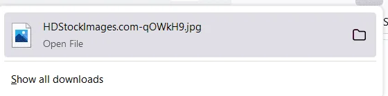 1665904230742.webp