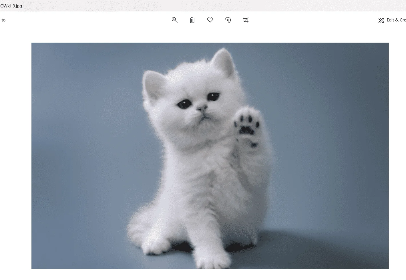 1665904266417.webp
