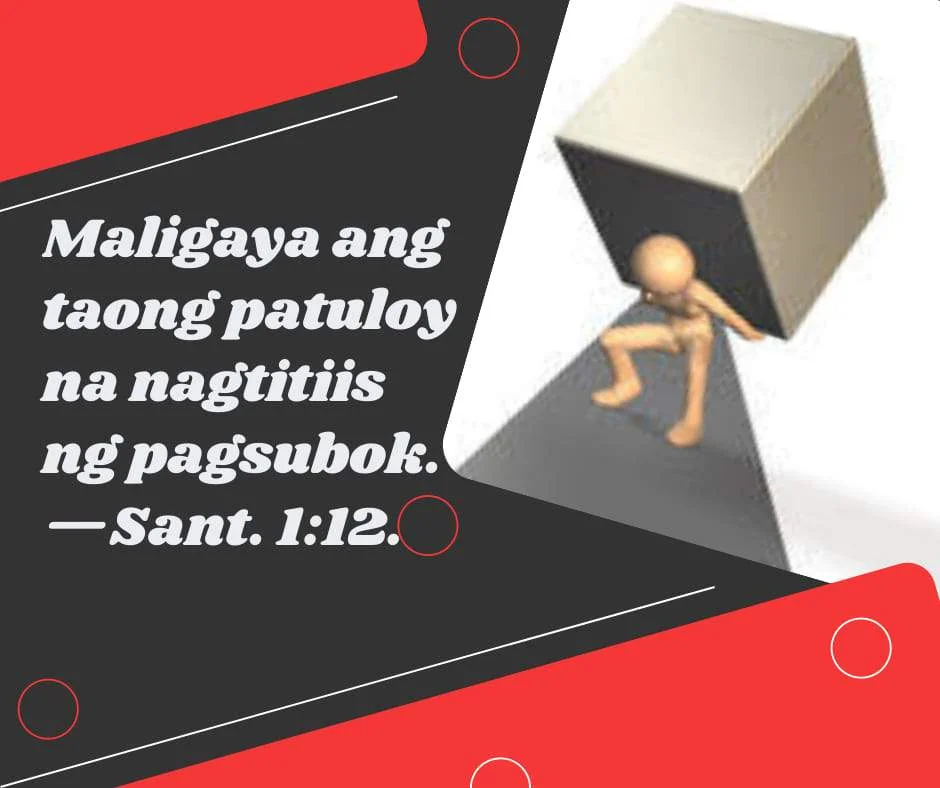 273618171_267574628838498_4386851212669965517_n.webp
