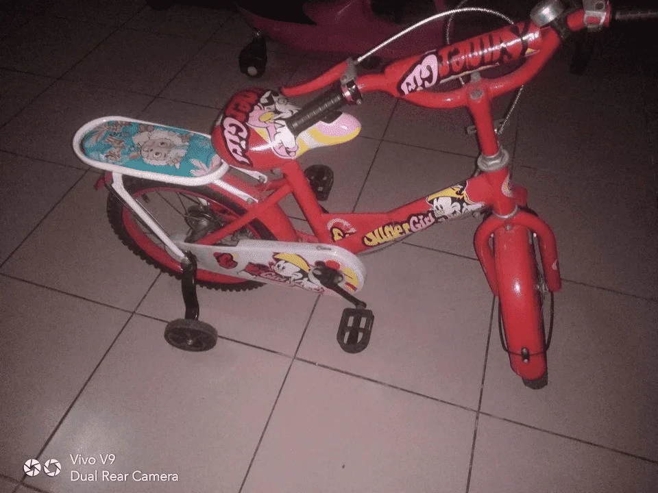 1666259862471.webp