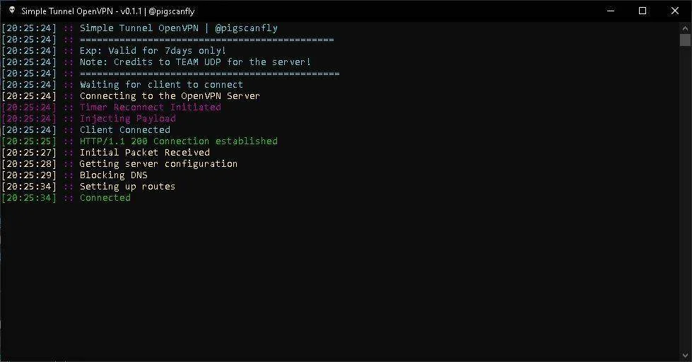 simple tunnel openvpn.webp