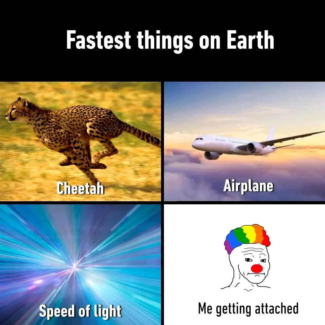 1666861909194.webp